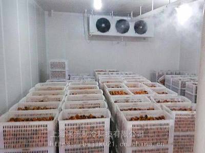 精準溫控，鮮活 delivered 果蔬保鮮與水產海鮮冷庫的全流程建設指南
